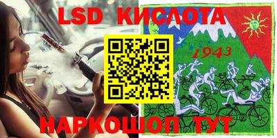 мяу мяу мука Краснознаменск